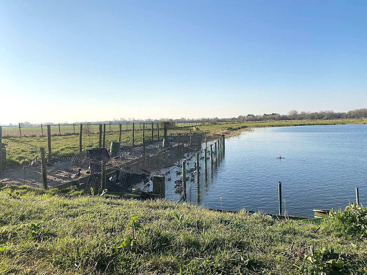 
                                                Vente
                                                 Domaine pour résidence, chasse, pêche, équitation