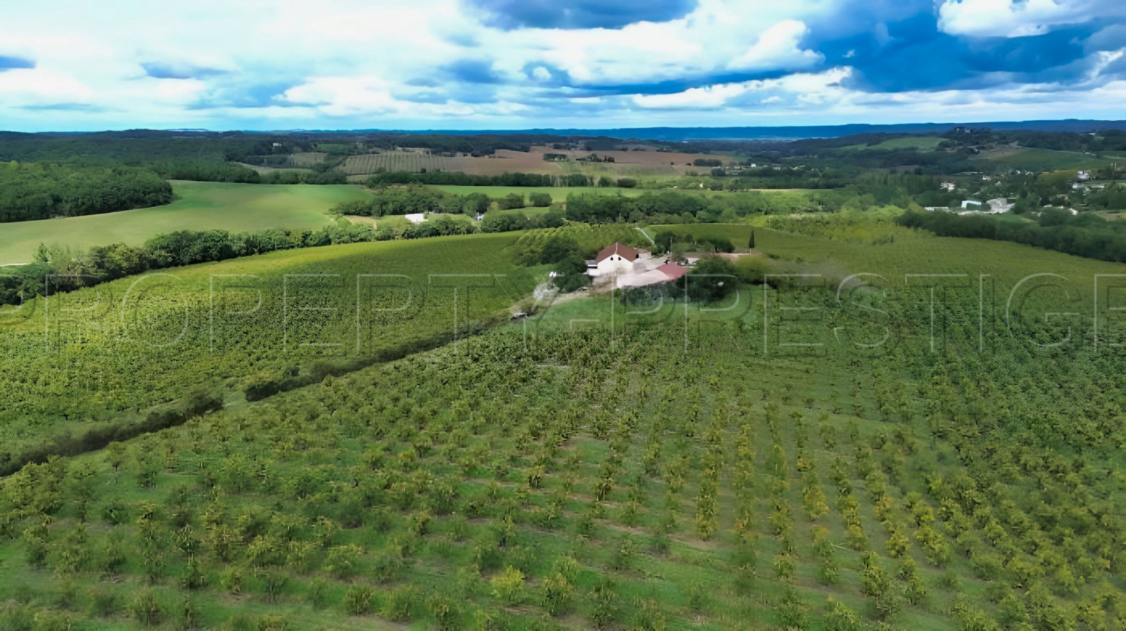 
                                                Vente
                                                 DOMAINE PRUNICOLE 65 ha - AGEN