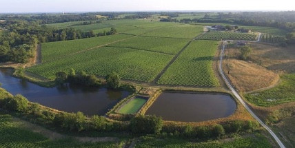 
                                                Vente
                                                 Domaine viticole, d’exception à reprendre