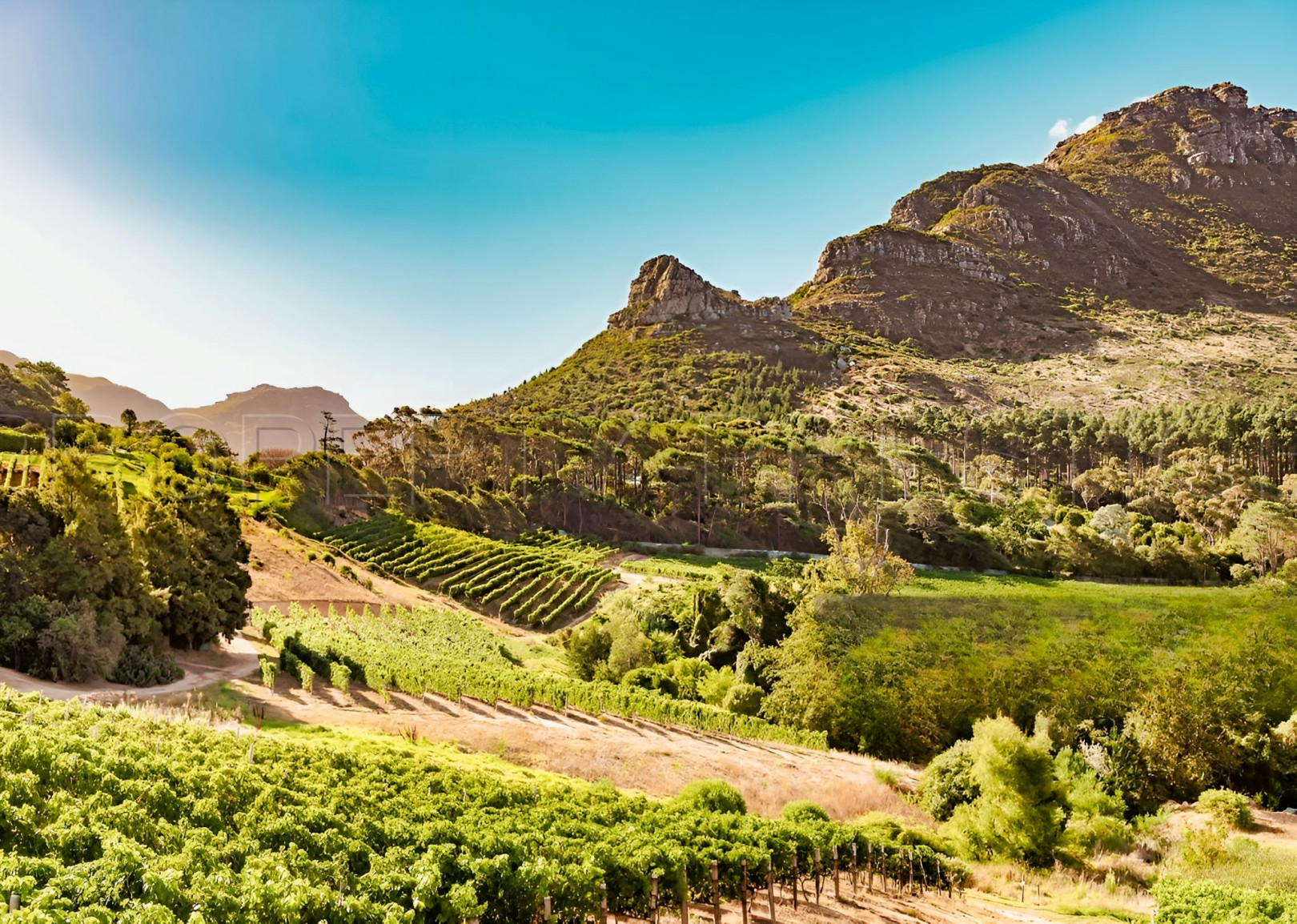 
                                                Vente
                                                 DOMAINE VITICOLE EN PROVENCE 200 HA