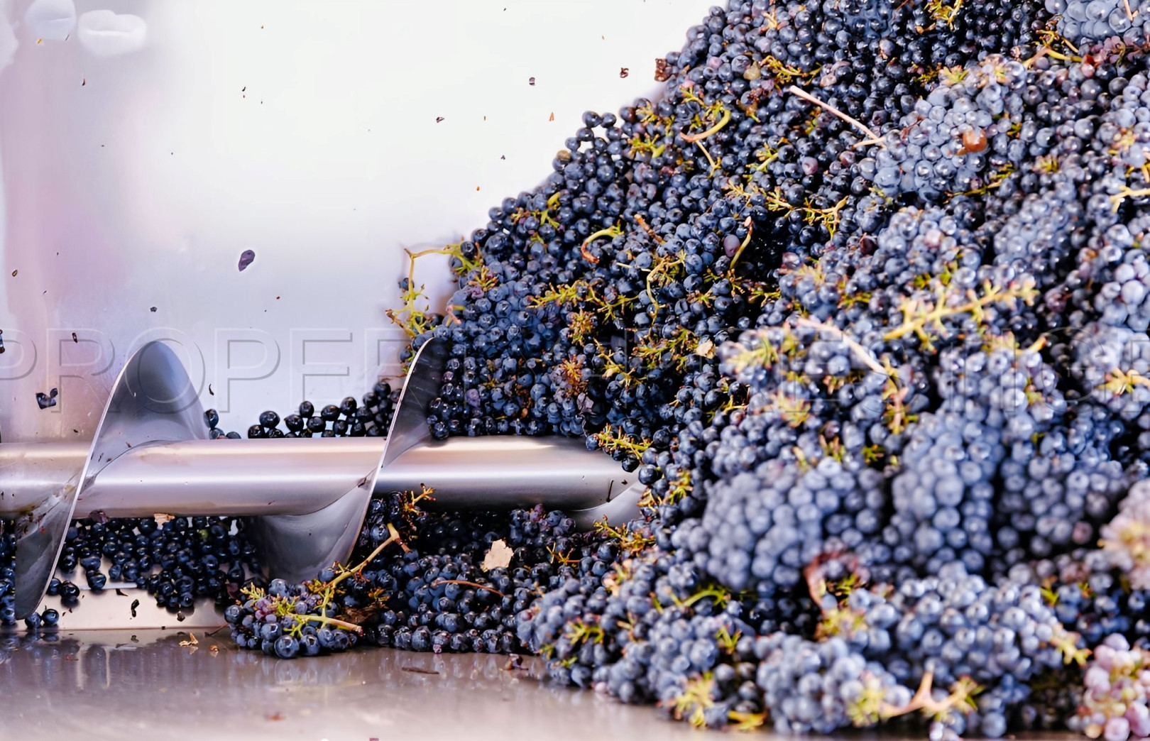 
                                                Vente
                                                 DOMAINE VITICOLE EN PROVENCE 200 HA