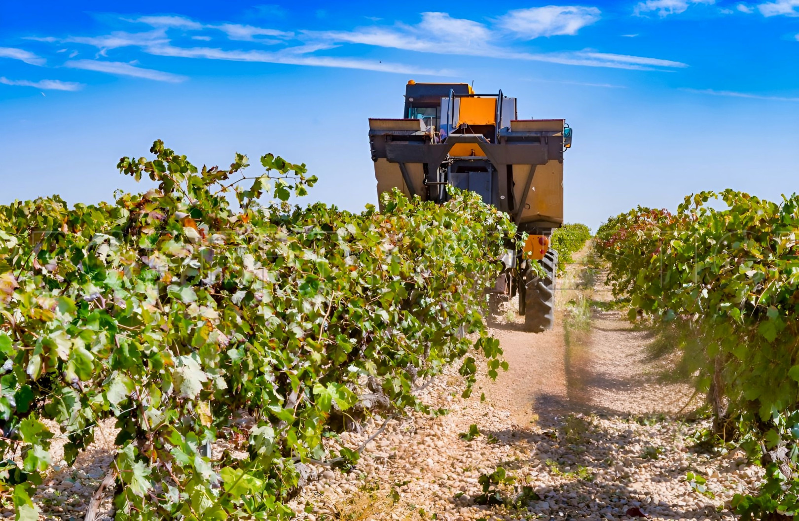 
                                                Vente
                                                 DOMAINE VITICOLE EN PROVENCE 200 HA