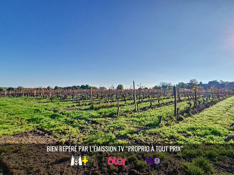 
                                                Vente
                                                 Domaine Viticole Saint Christoly-de-Médoc