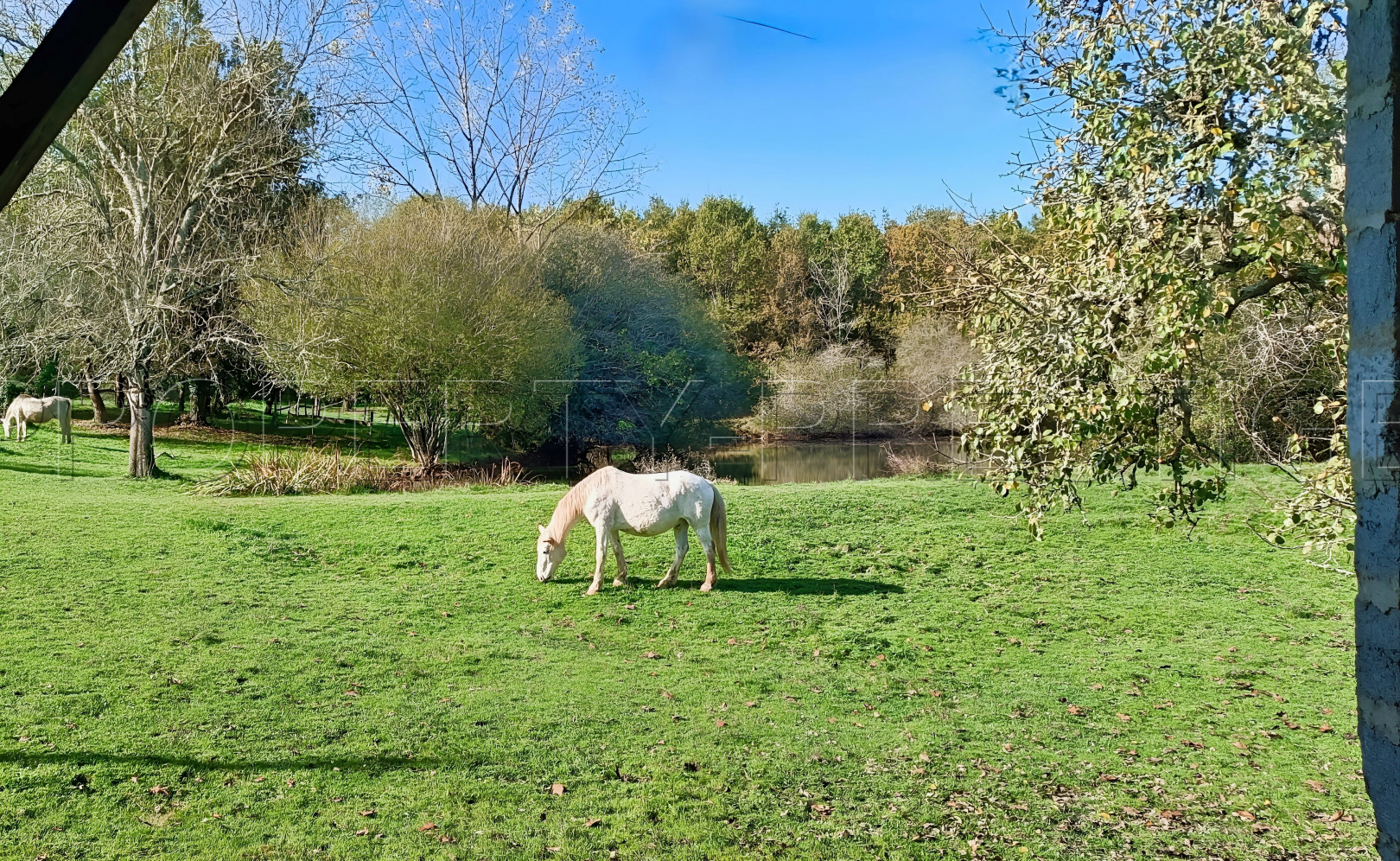
                                                Vente
                                                 DORDOGNE PROPRIETE 6 HA ETANG PUITS