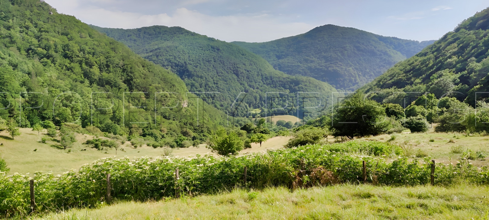 
                                                Vente
                                                 DROME PROVENCALE DOMAINE 28 HA PLEINE NATURE