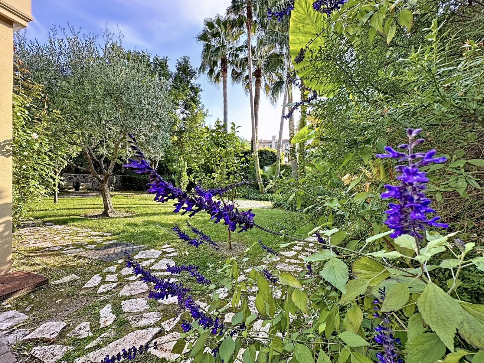 
                                                Vente
                                                 Duplex d’Exception à Cimiez