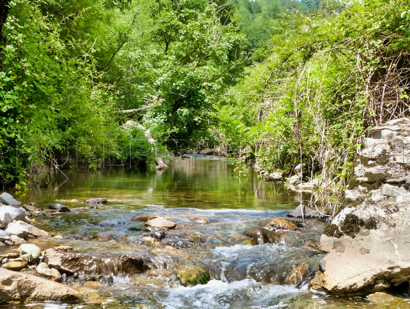 
                                                Vente
                                                 En Ardèche Mas de Caractère sur 13 Ha