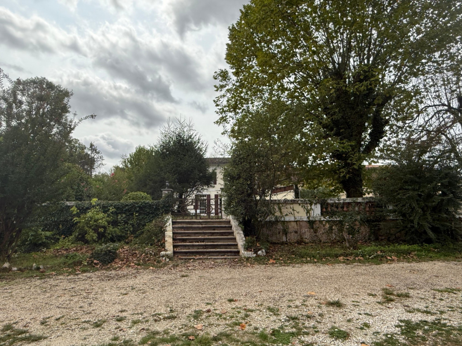 Vente
                                                 En EXCLUSIVITE
