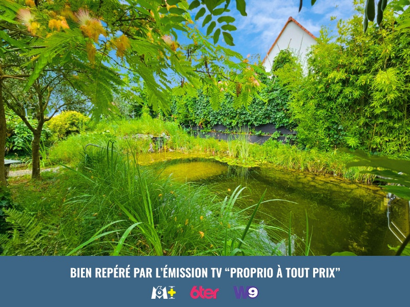 
                                                Vente
                                                 Ensemble de deux maisons avec piscine naturelle, dépendances et terrain de plus de 20 ares