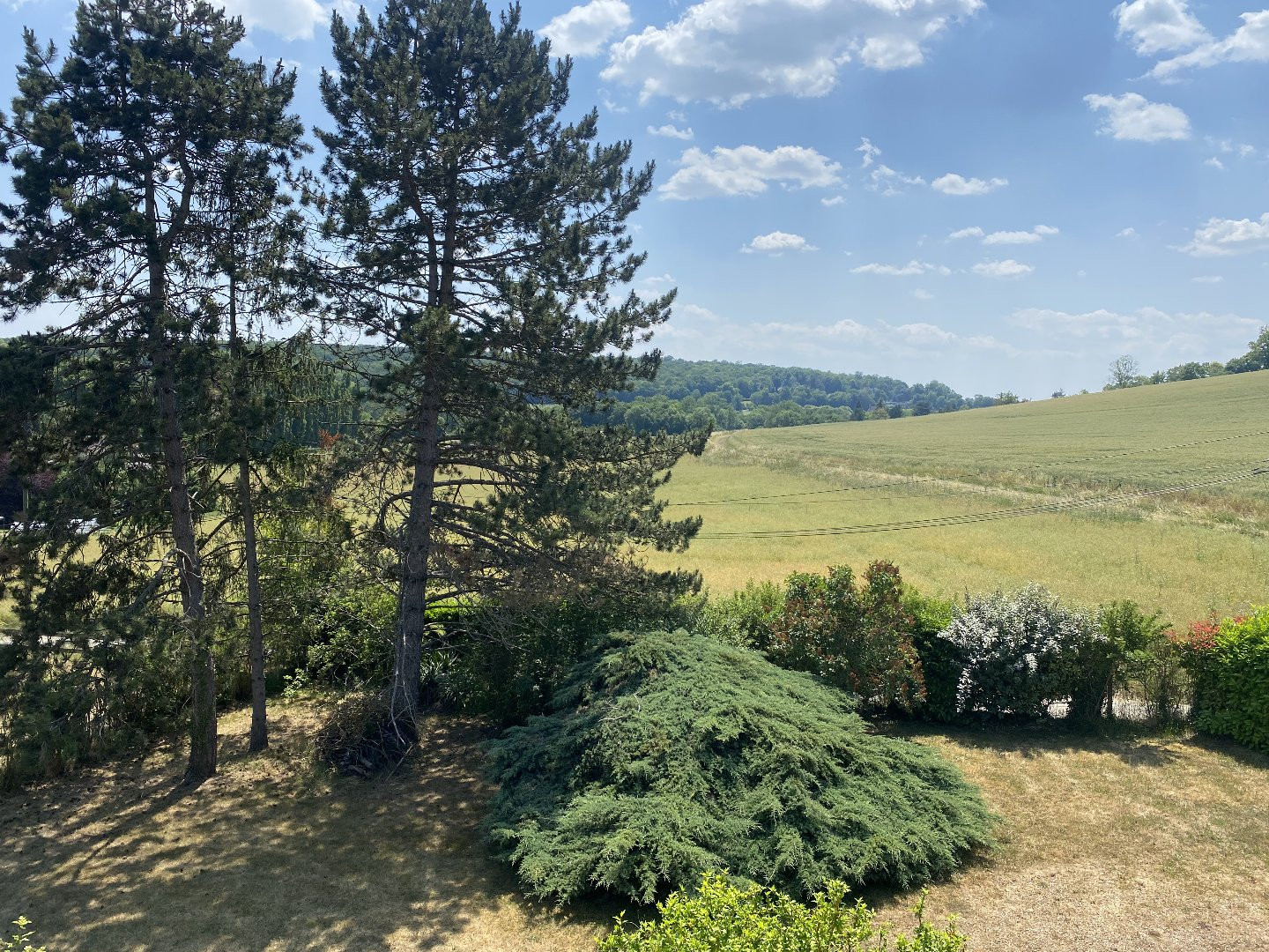 
                                                Vente
                                                 Environnement excpetionnel  !