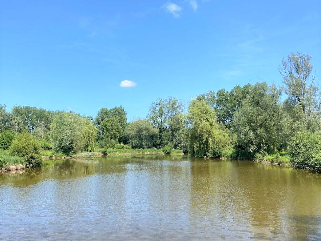 
                                                Vente
                                                 ETANG AVEC CHALETS PROCHE ABBEVILLE SOMME