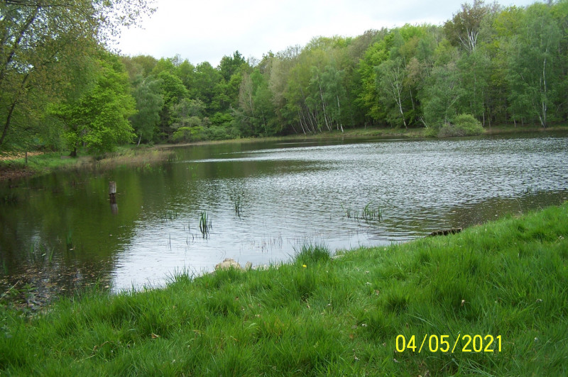 
                                                Vente
                                                 Etang bien sité