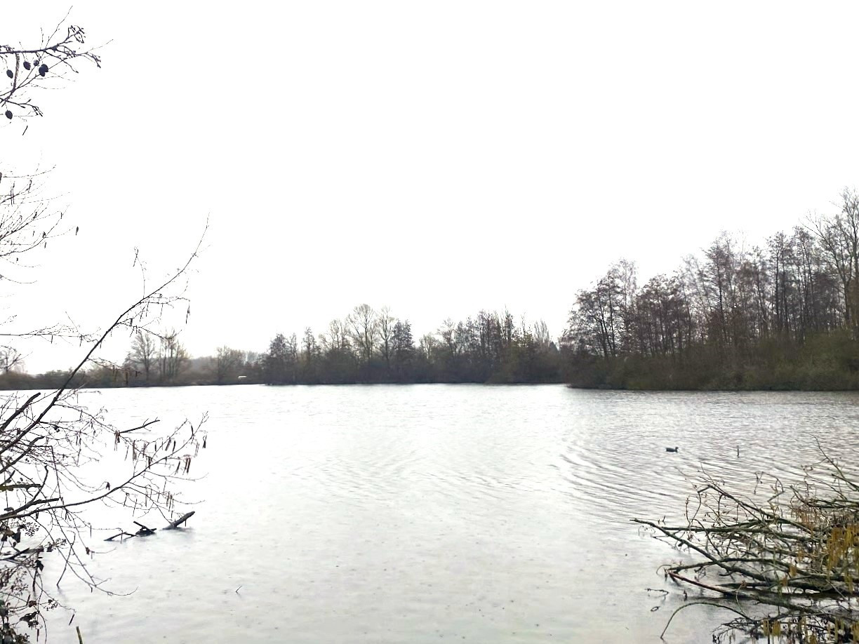 
                                                Vente
                                                 Etang de 12.5 ha dans la Somme