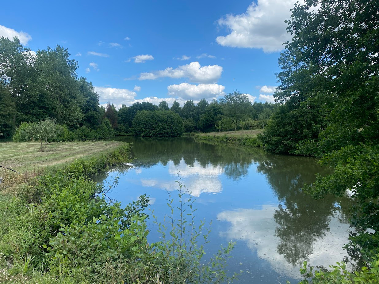 
                                                Vente
                                                 Etang et bois, pêche et loisirs