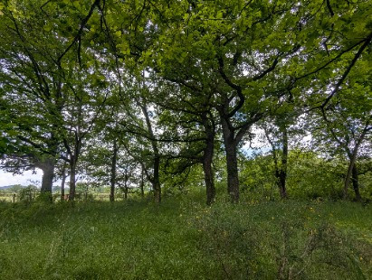 
                                                Vente
                                                 Étang et terrain