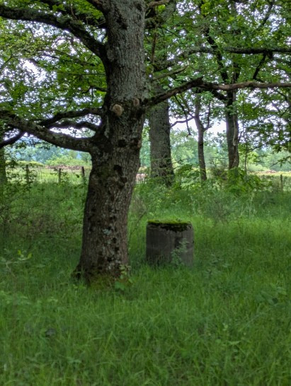 
                                                Vente
                                                 Étang et terrain