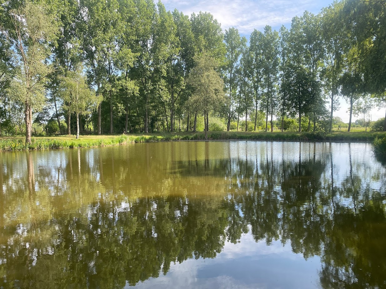 
                                                Vente
                                                 Etang pour pêche et terrain de loisirs