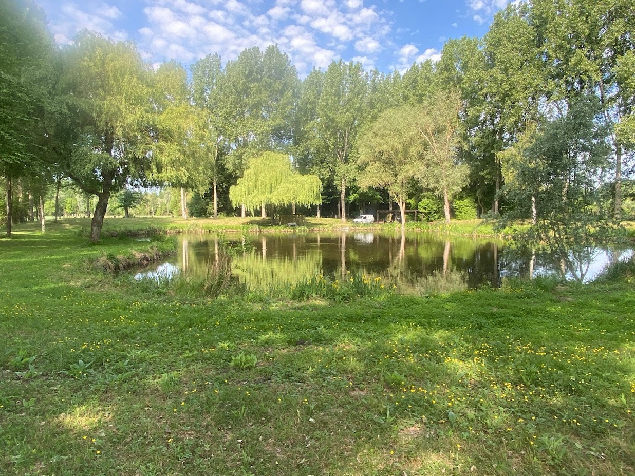 
                                                Vente
                                                 Etang pour pêche et terrain de loisirs