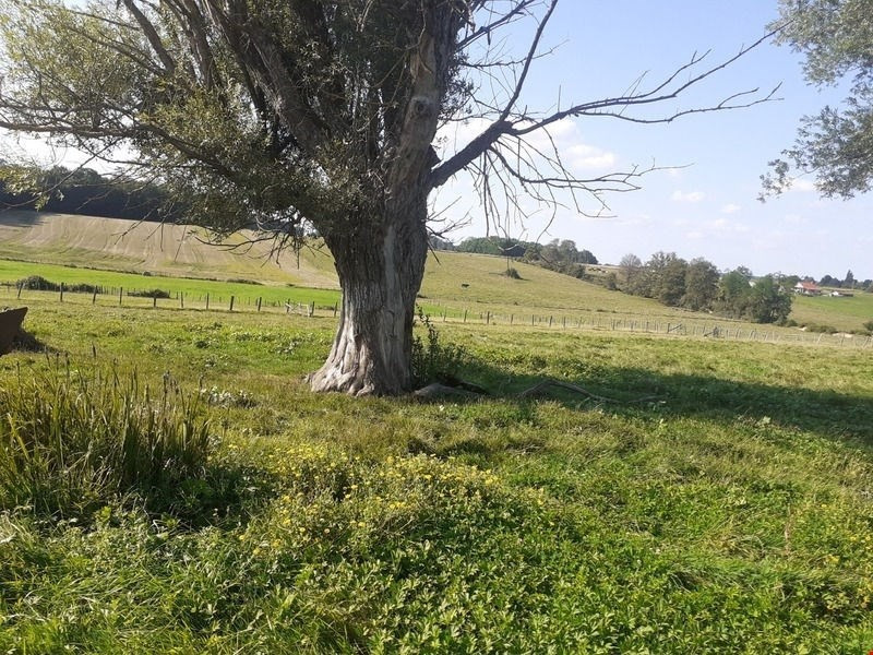 
                                                Vente
                                                 Exclusive Longére Ferme