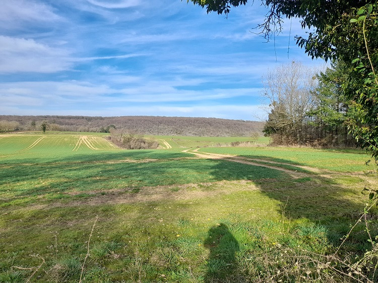 
                                                Vente
                                                 Ferme mitoyenne sur 1.500m² avec vue !