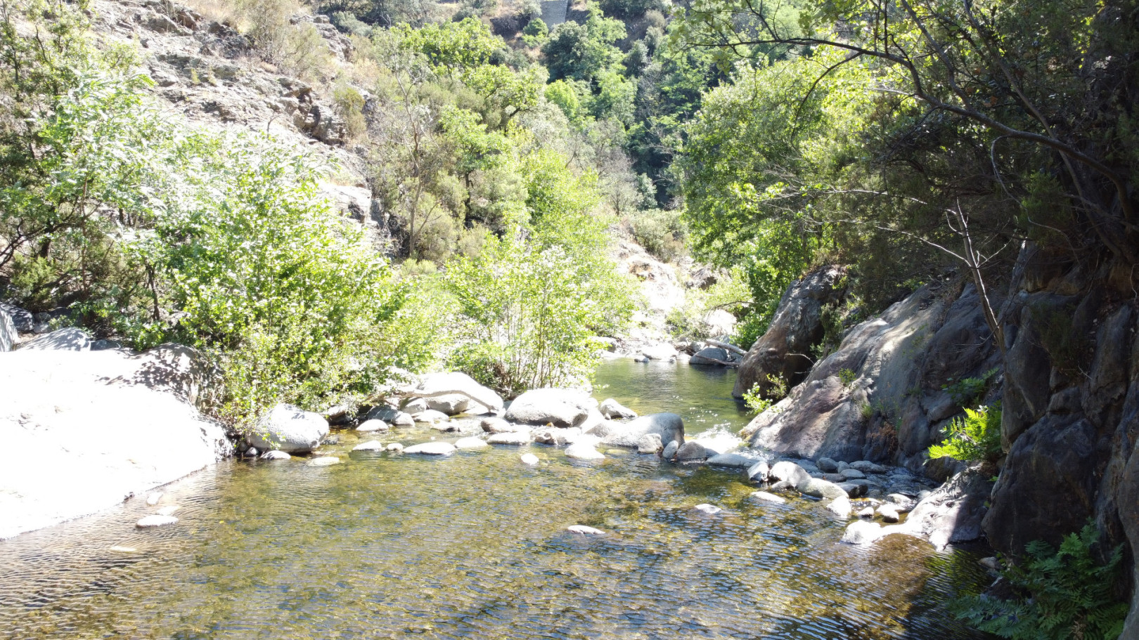
                                                Vente
                                                 Forêt de 308 Hectares au Cœur du Conflent