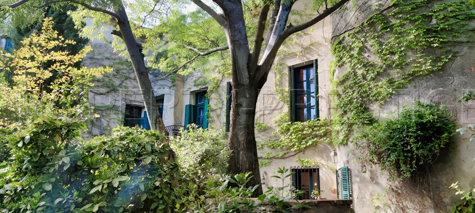 
                                                Vente
                                                 GARD DEMEURE PRIVEE CHATEAU XVIIème