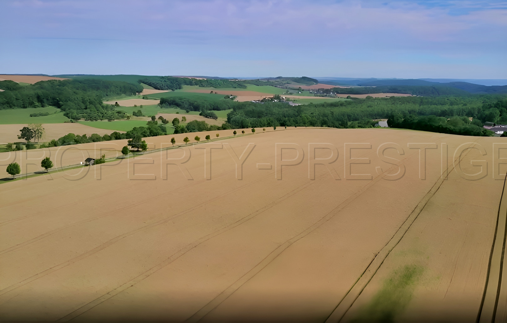 
                                                Vente
                                                 GERS EXPLOITATION AGRICOLE 320 HA IRRIGUES LACS