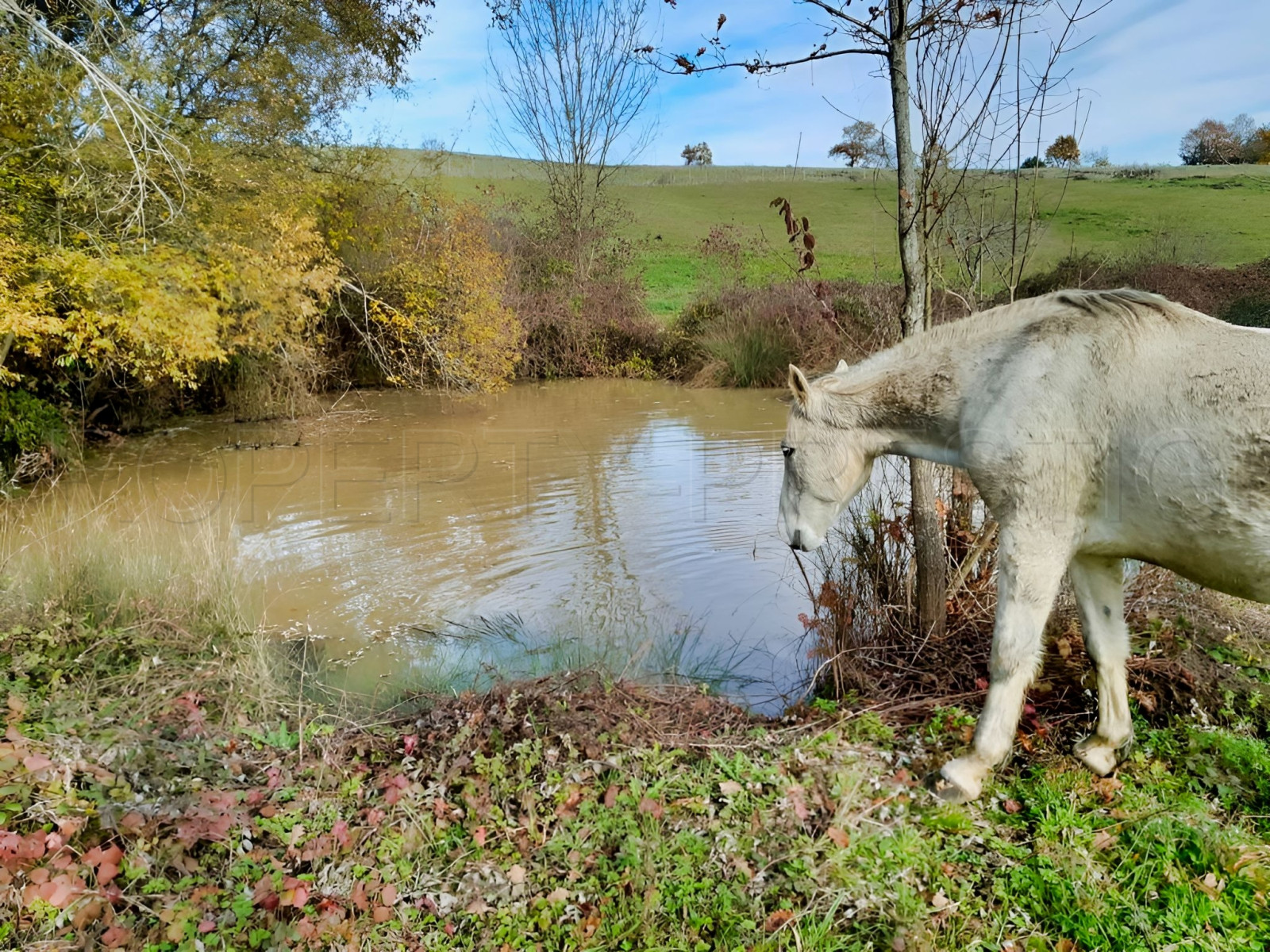 
                                                Vente
                                                 GERS Ferme autonome et bioclimatique 42 Ha