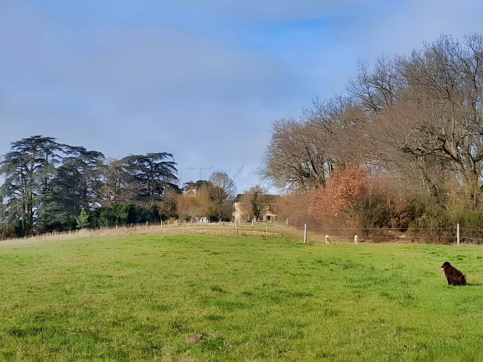 
                                                Vente
                                                 GERS Ferme autonome et bioclimatique 42 Ha