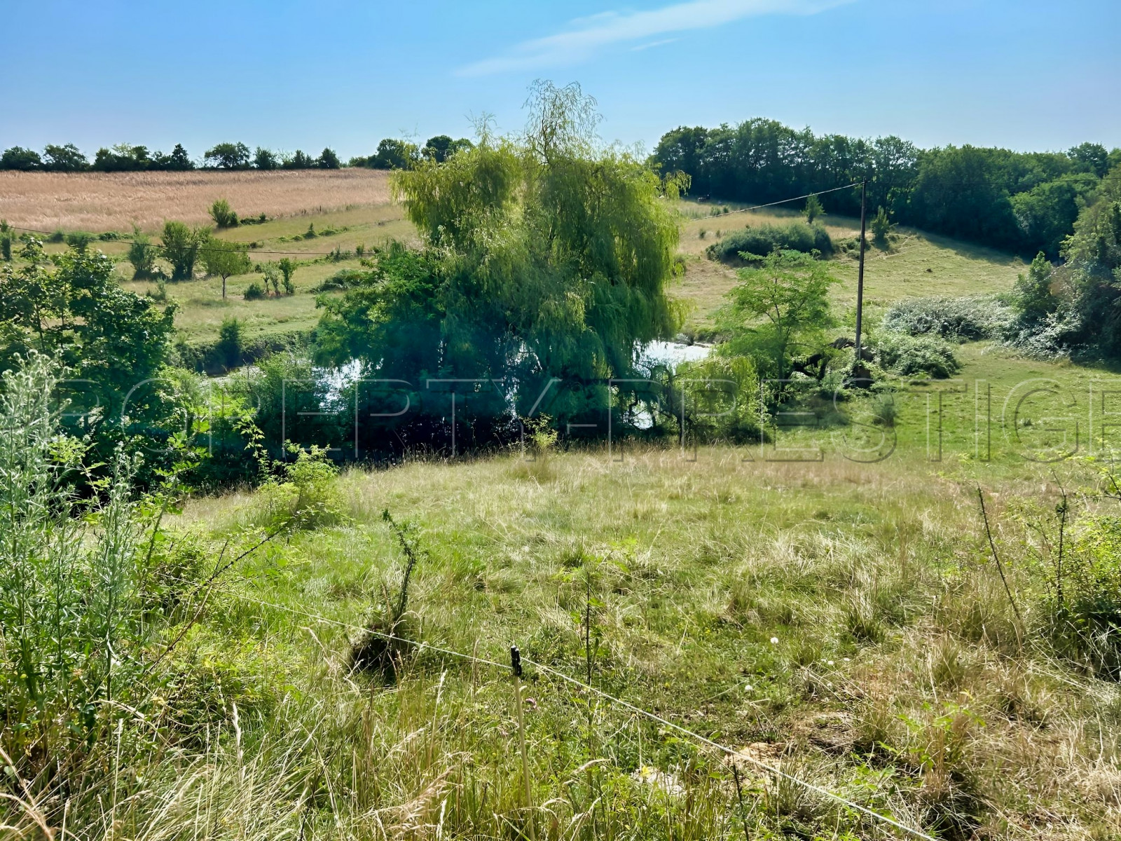 
                                                Vente
                                                 GERS FERME BIO 50 HA