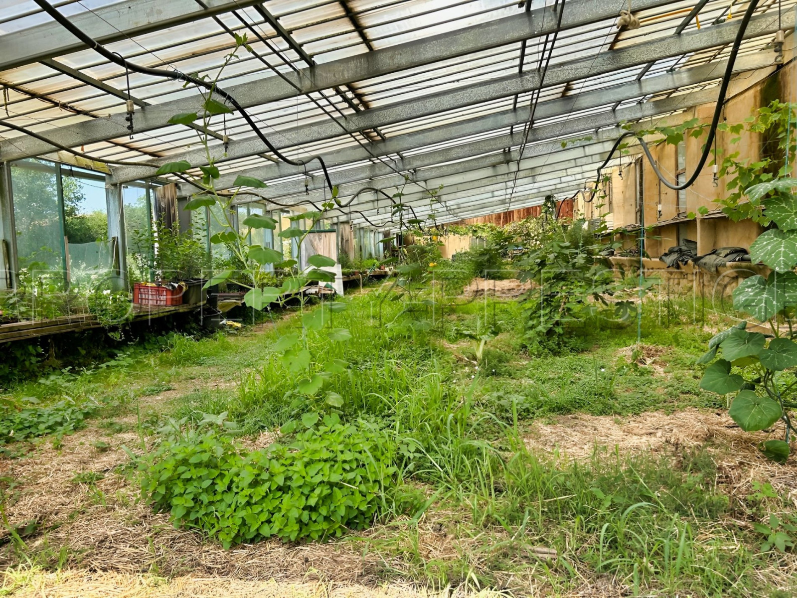 
                                                Vente
                                                 GERS FERME BIO 50 HA
