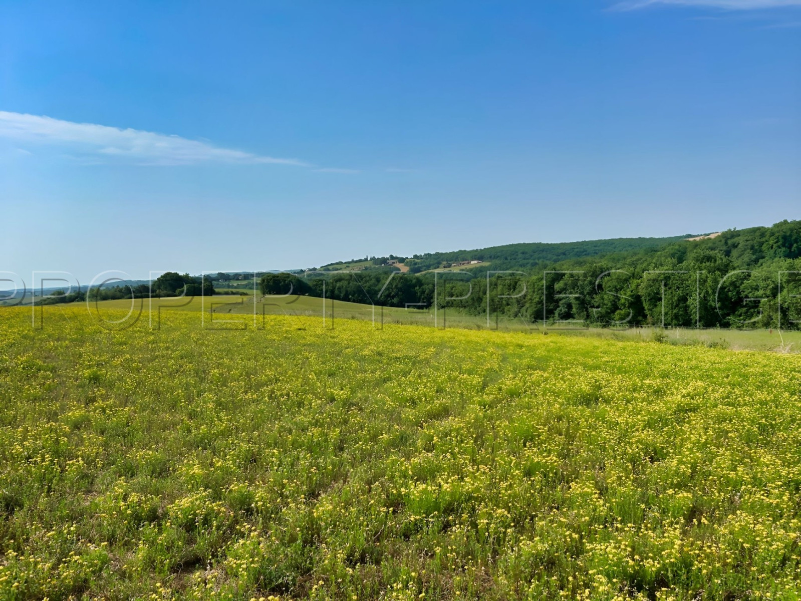 
                                                Vente
                                                 GERS FERME BIO 50 HA