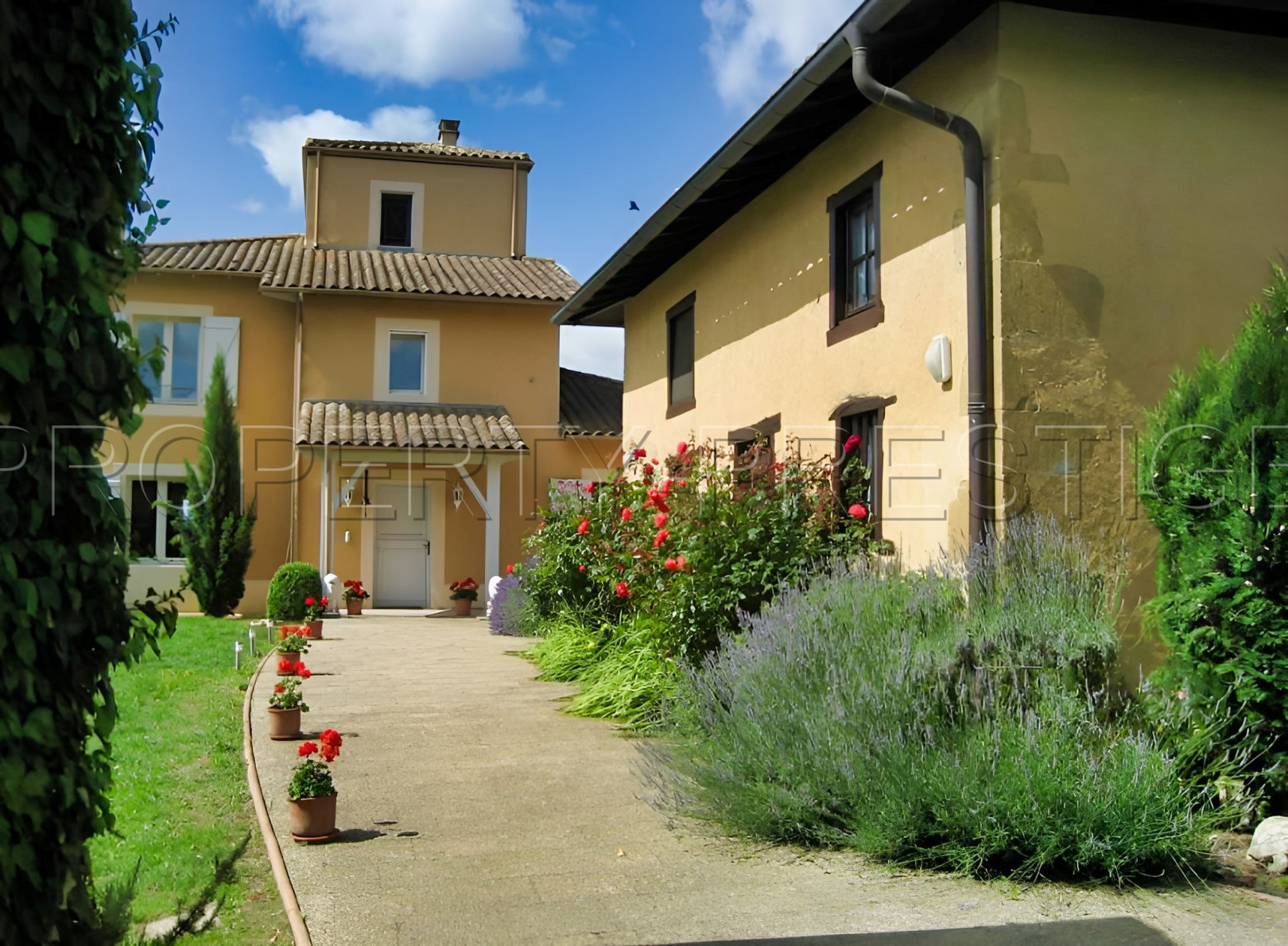 
                                                Vente
                                                 GERS PROPRIETE 30 HA BELLE NATURE