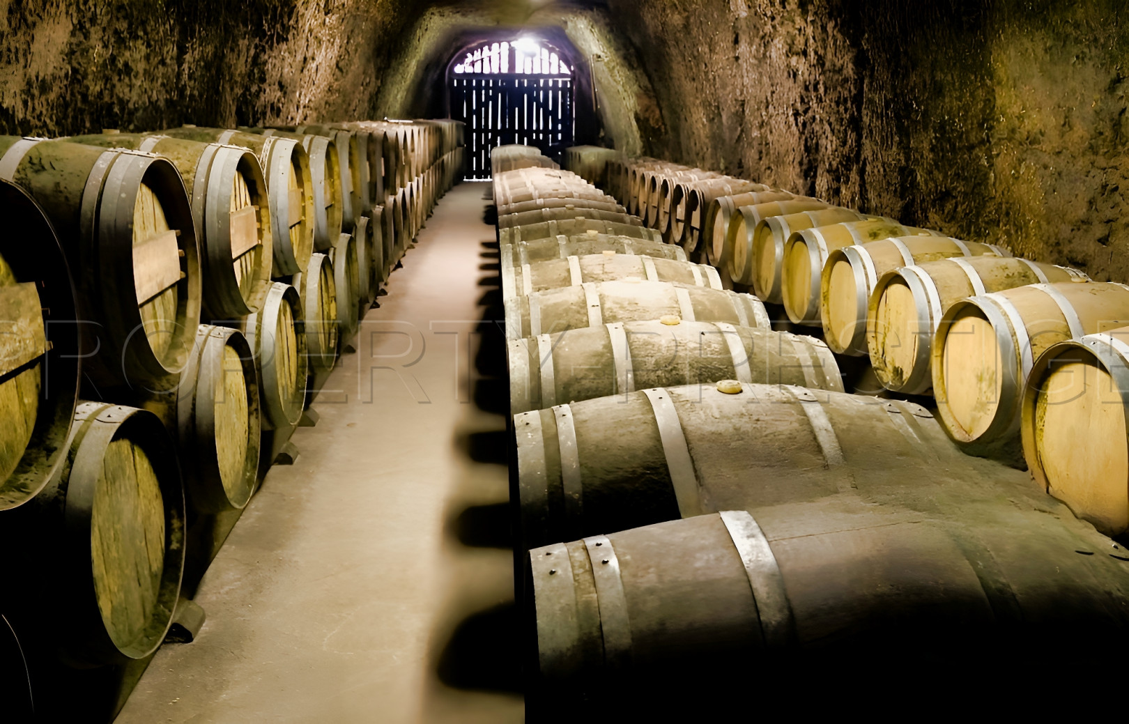 
                                                Vente
                                                 GERS PROPRIETE VITICOLE EN BAS ARMAGNAC 14 HA