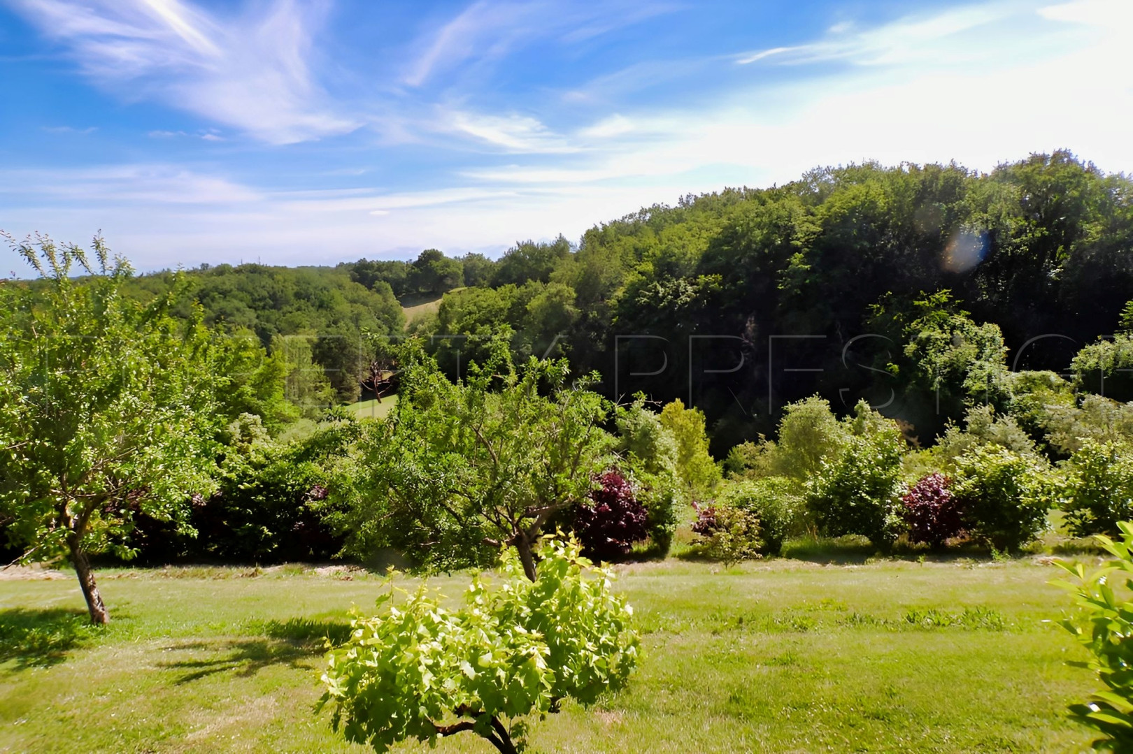 
                                                Vente
                                                 GERS VILLA CONTEMPORAINE 1,7 HA VUE DOMINANTE