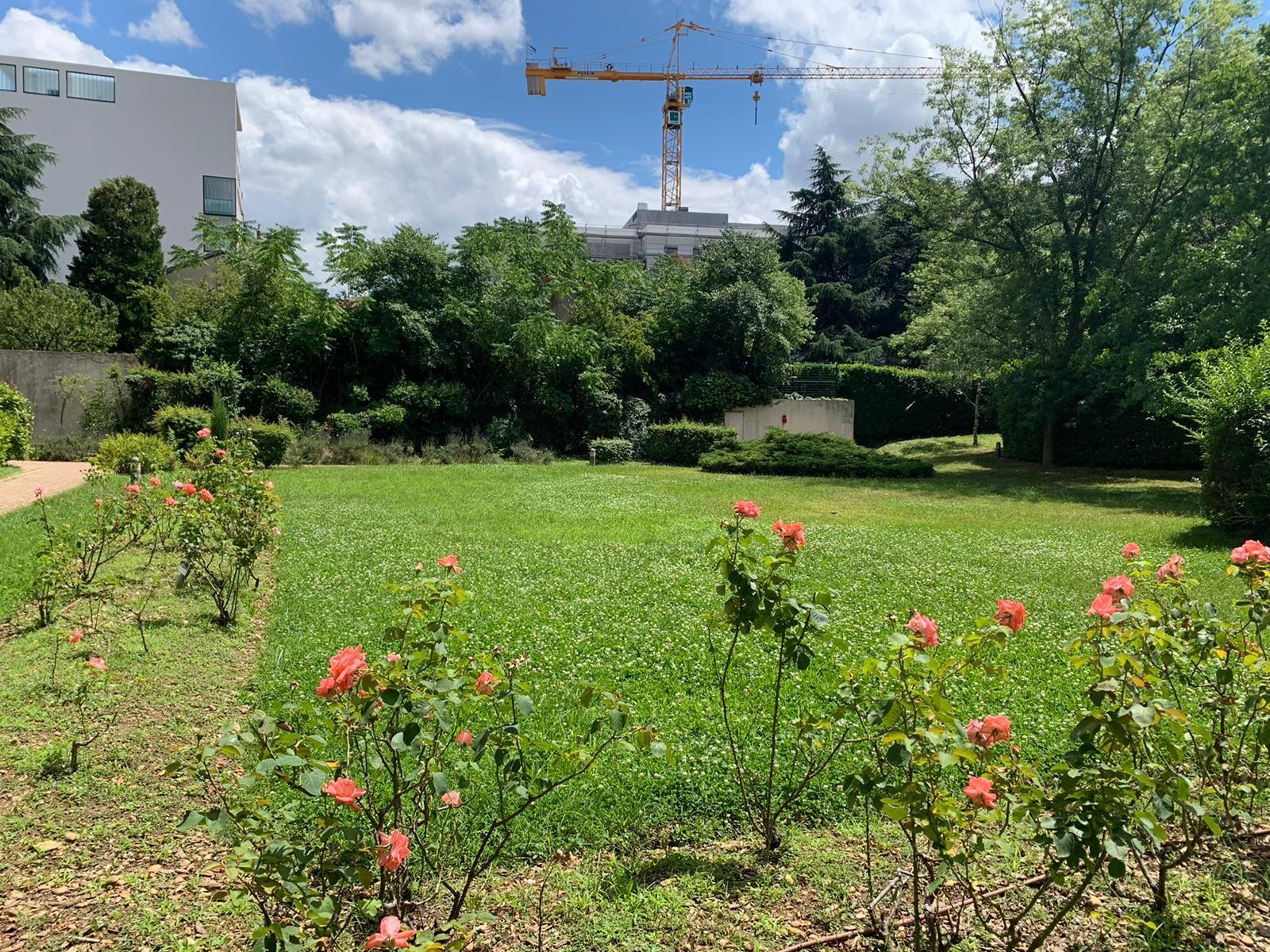 
                                                Location
                                                 GRAND APPARTEMENT T2 BIS MONTPLAISIR LYON 69008