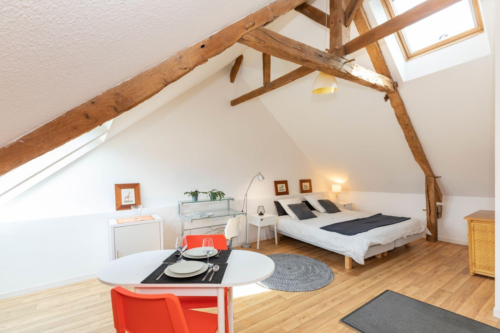 
                                                Location
                                                 Grand studio lumineux équipé prêt a vivre au calme