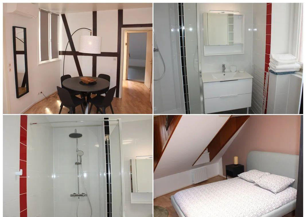 
                                                Location
                                                 Grand studio meublé 47m2 à Strasbourg