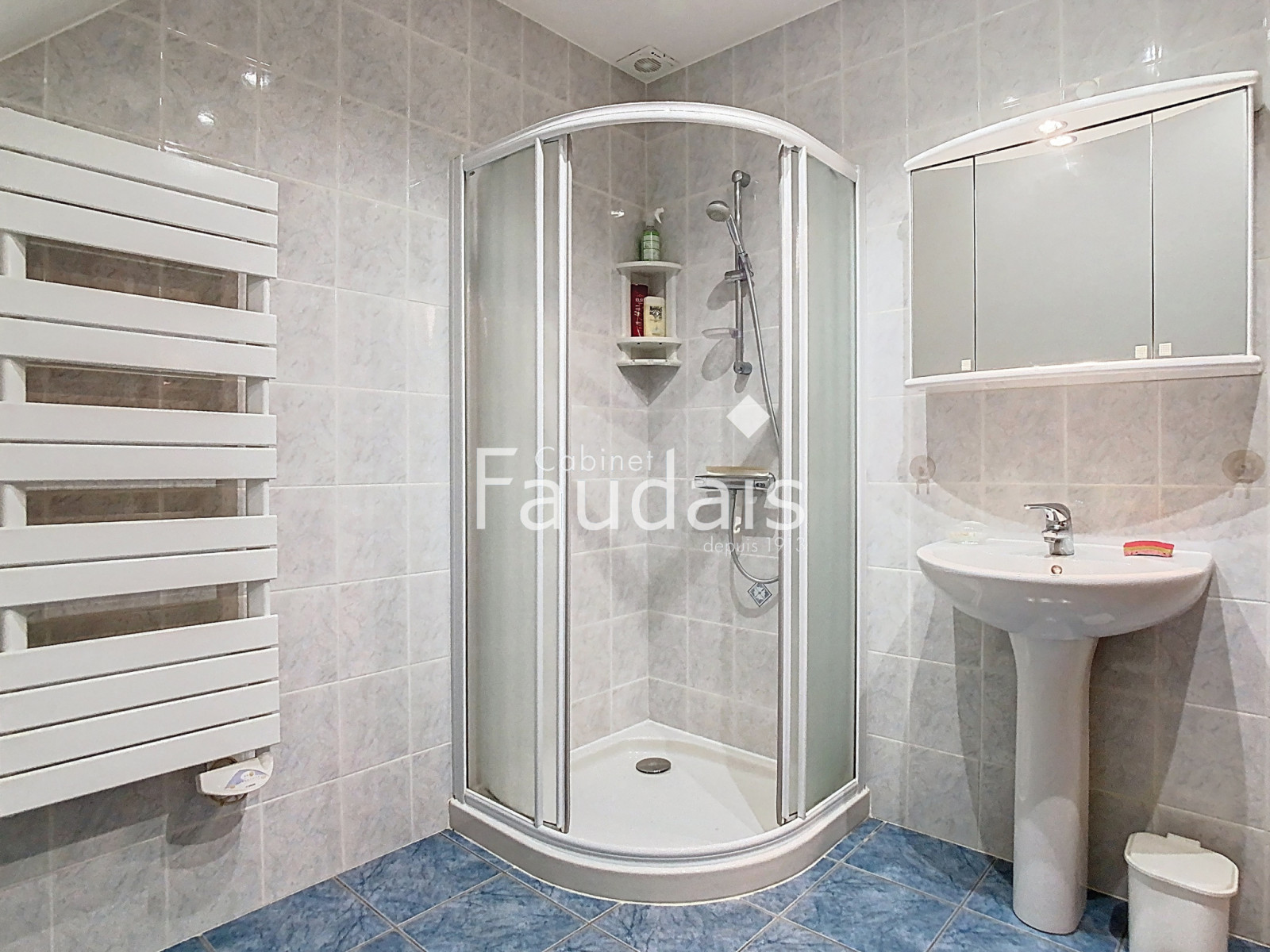 
                                                Vente
                                                 GRANDE MAISON FAMILIALE LUMINEUSE 6 CHAMBRES