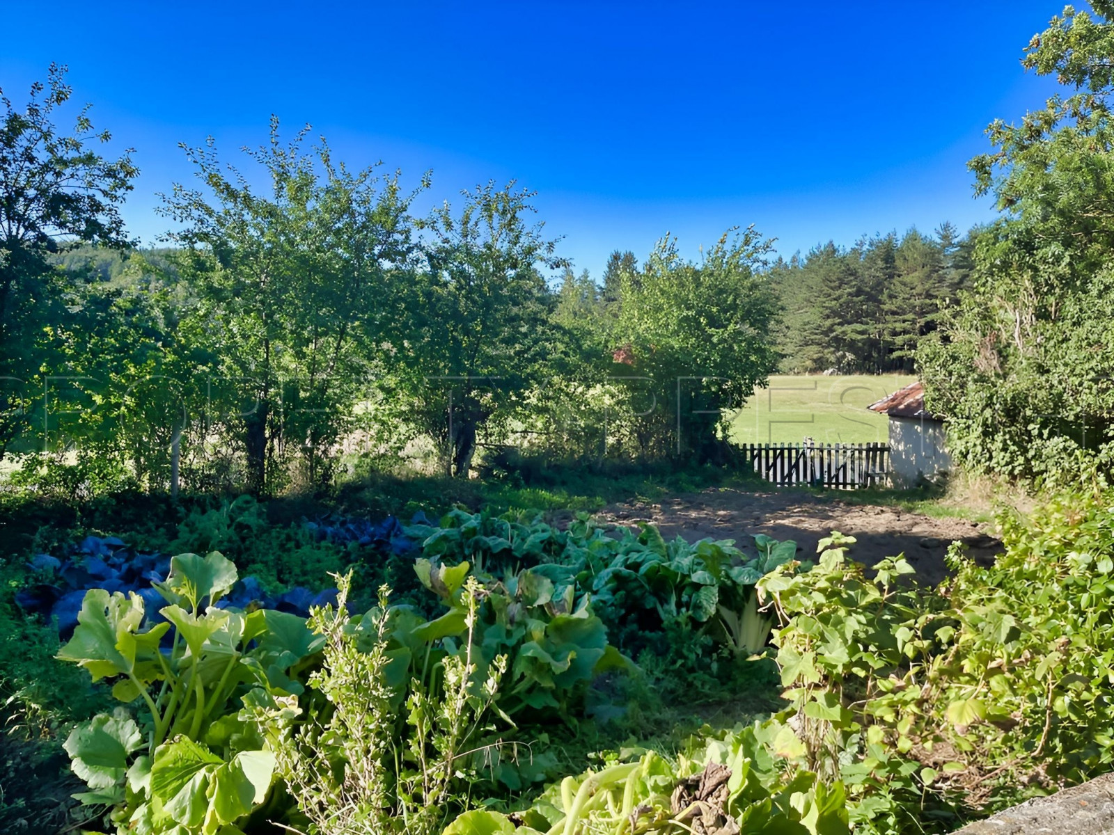 
                                                Vente
                                                 HAUTE ARDECHE ANCIENNE FERME 8 HA