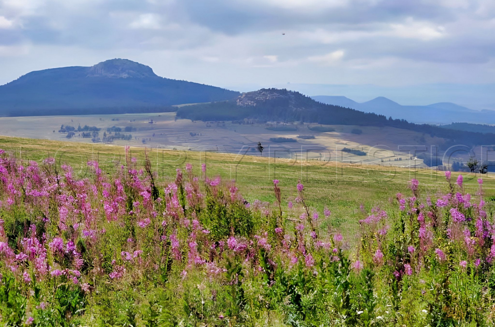 
                                                Vente
                                                 HAUTE LOIRE PROPRIETE GITE CH. HOTES 1000 M² 6 HA
