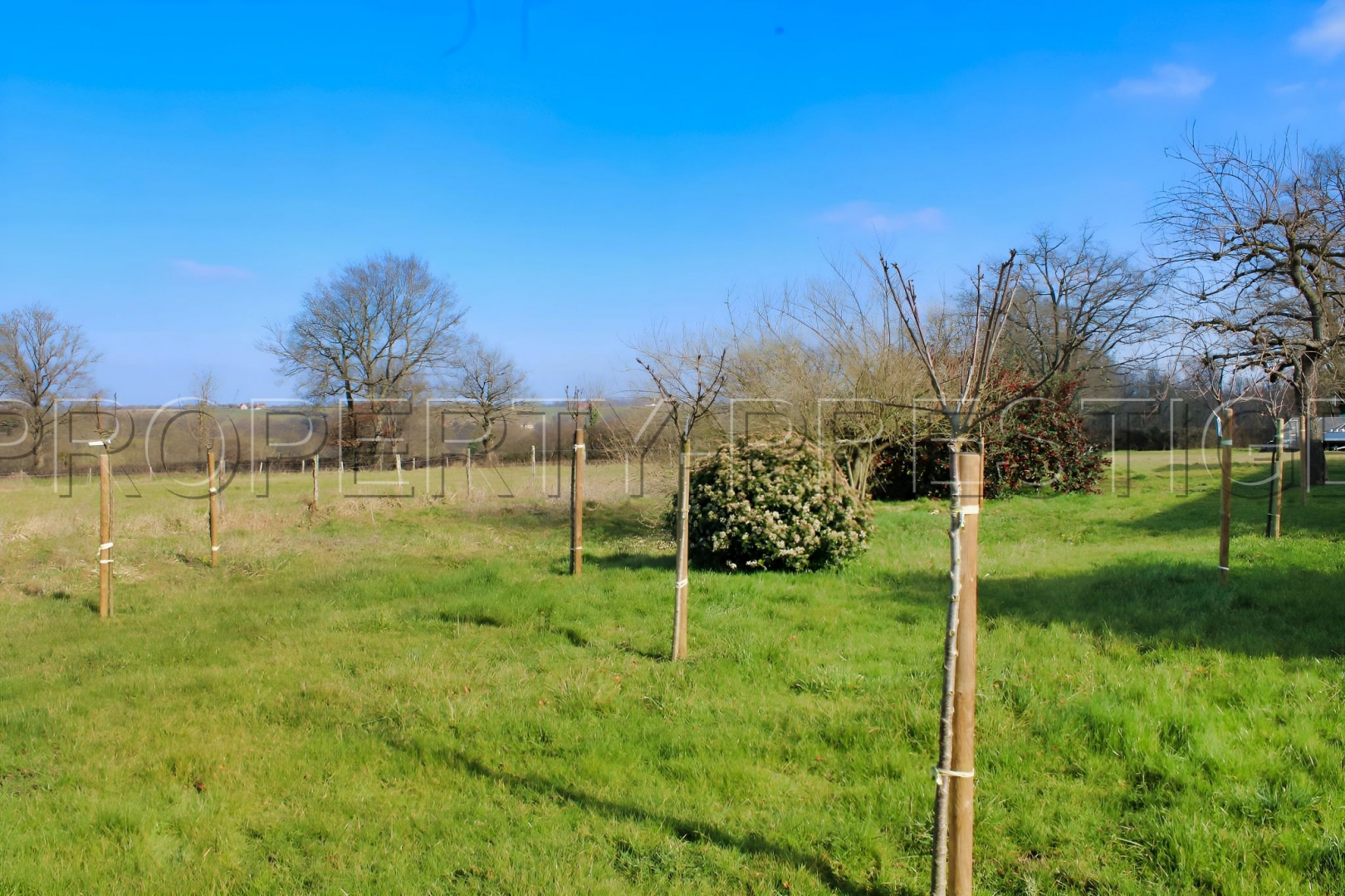 
                                                Vente
                                                 Havre de paix en Bourbonnais : Villa d'exception à saisir