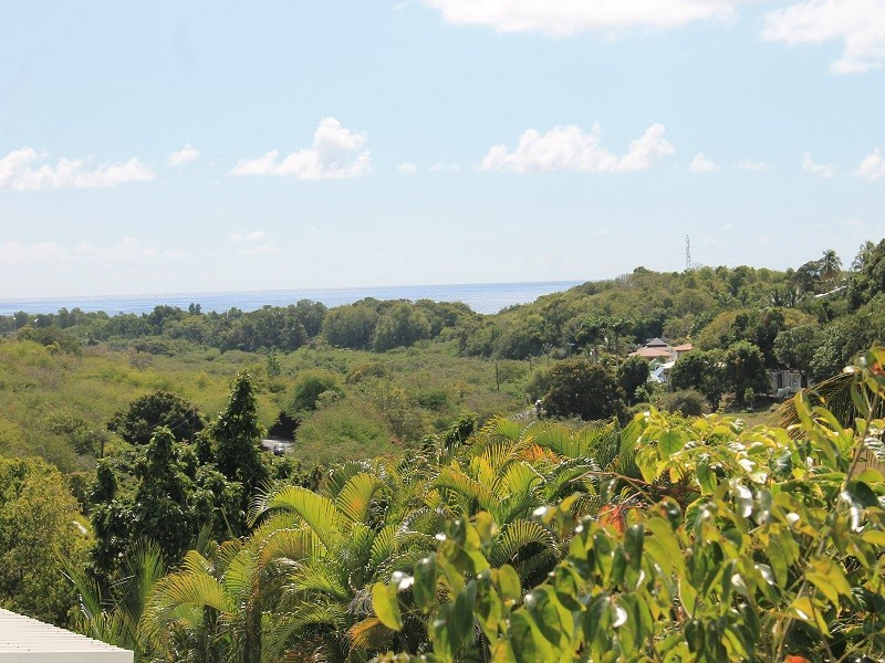 
                                                Vente
                                                 VILLA MEUBLÉE F7