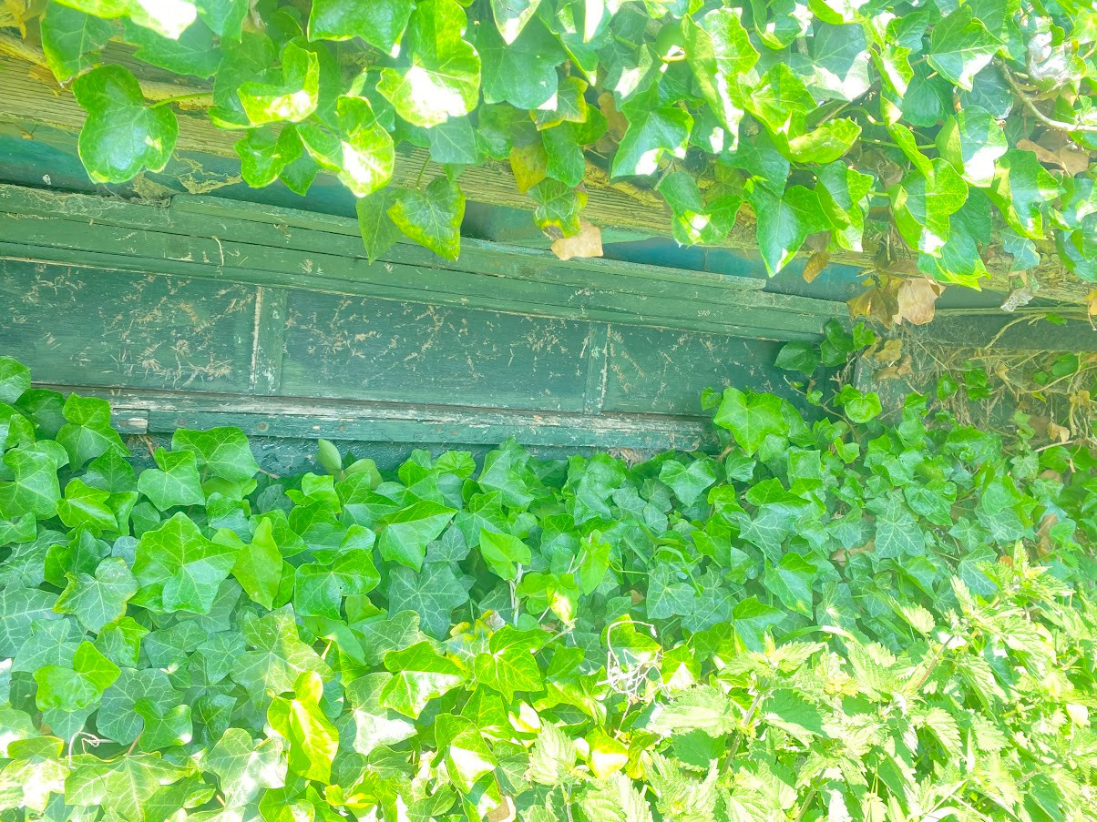 
                                                Vente
                                                 HUTTE DANS LE MARAIS DE GUINES (PAS DE CALAIS)