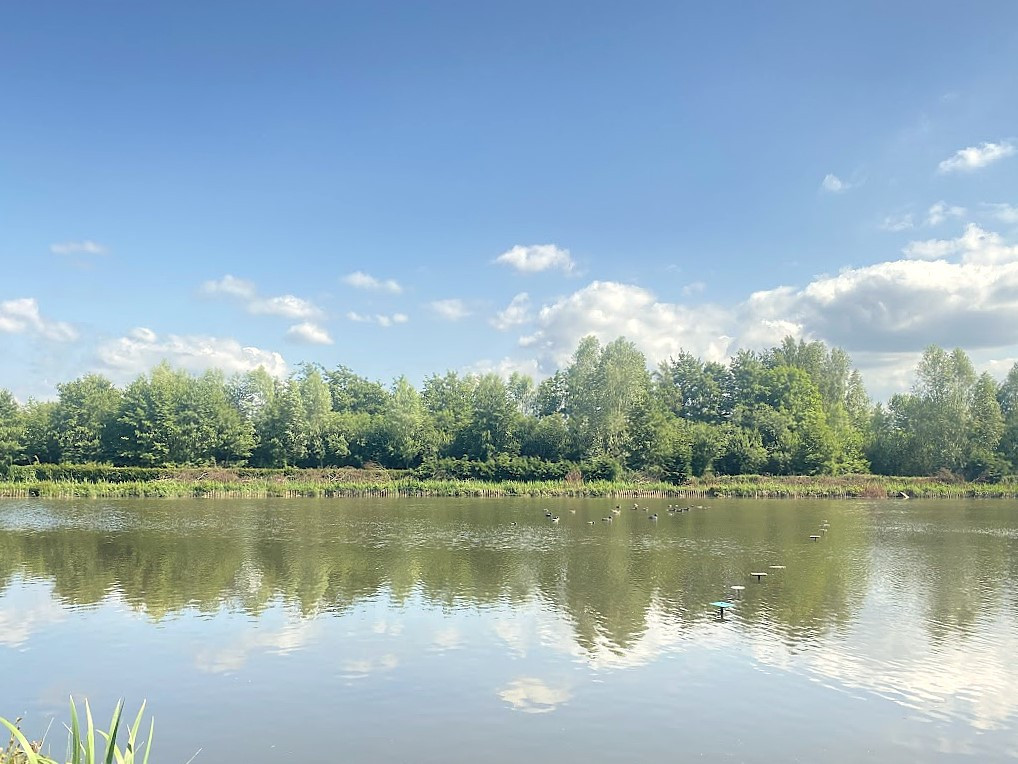 
                                                Vente
                                                 HUTTE DANS LE MARAIS DE GUINES (PAS DE CALAIS)