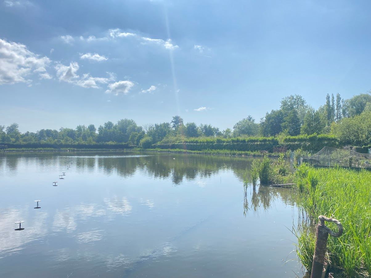 
                                                Vente
                                                 HUTTE DANS LE MARAIS DE GUINES (PAS DE CALAIS)