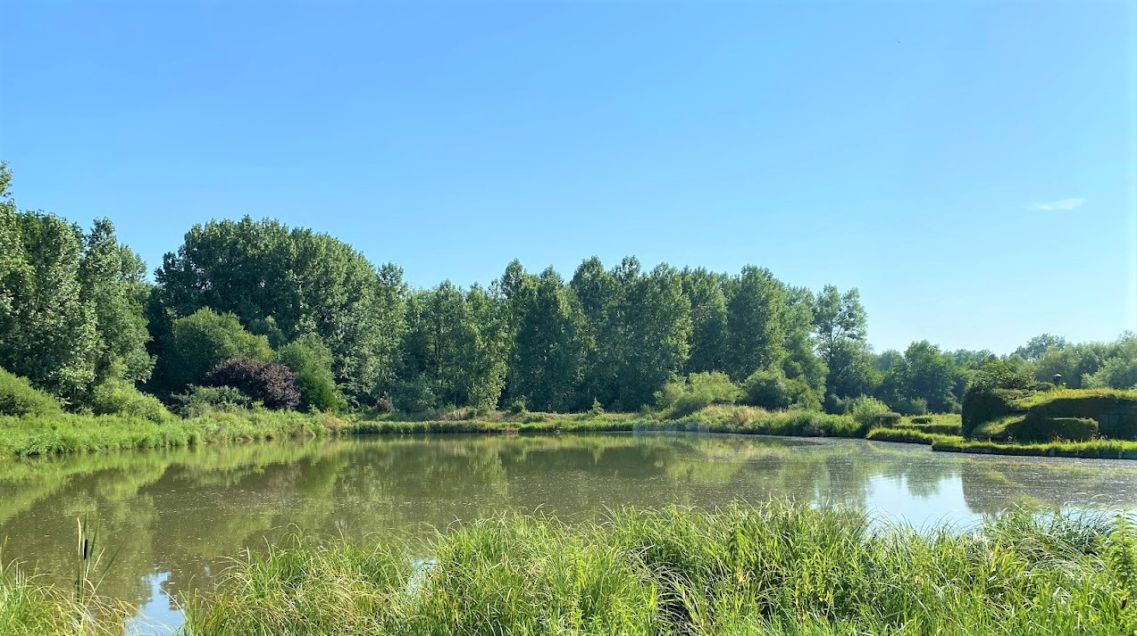 
                                                Vente
                                                 HUTTE DE CHASSE PIGEONS SOMME