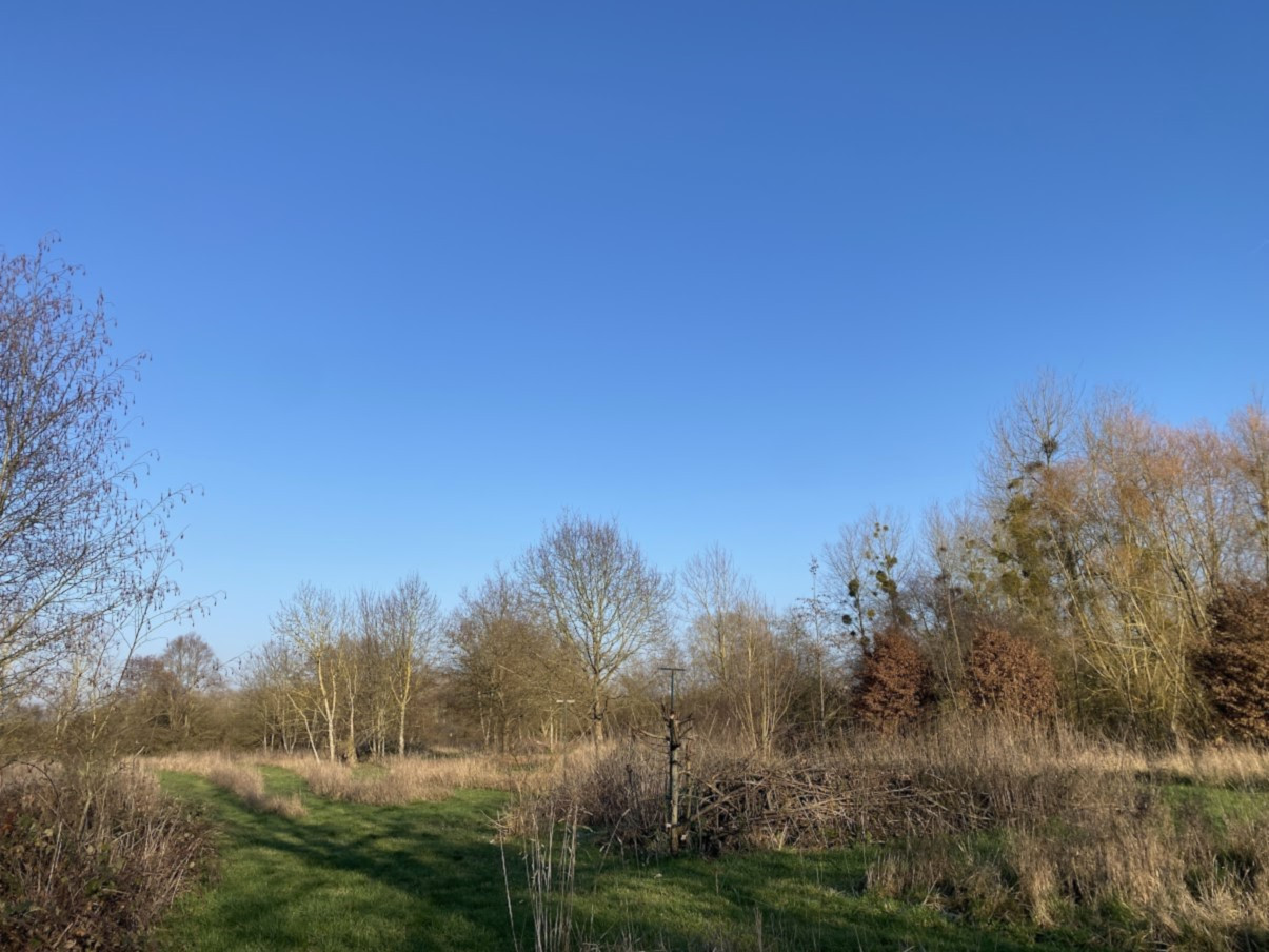 
                                                Vente
                                                 HUTTE DE CHASSE DANS L'AISNE (VALLEE DE L'OISE)