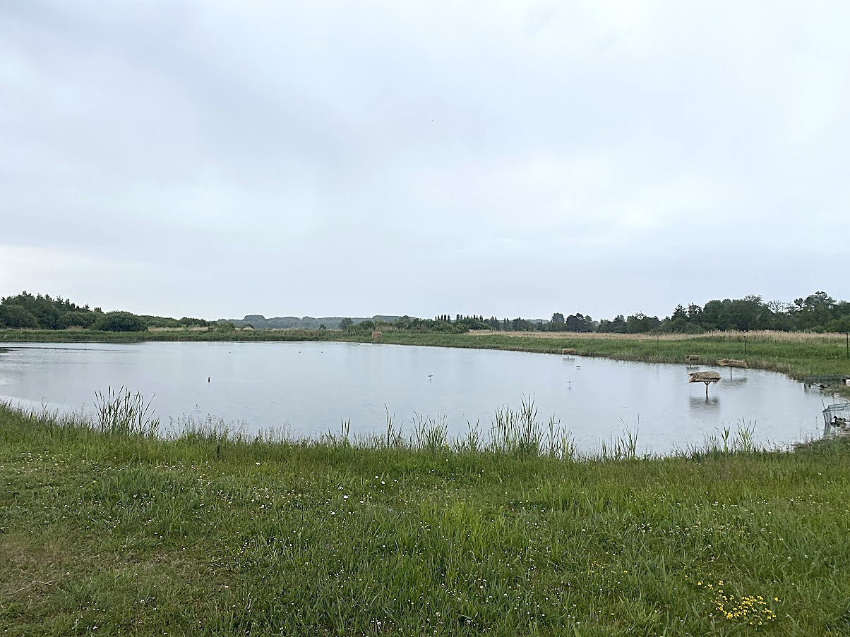 
                                                Vente
                                                 Hutte de chasse dans le marais de Merlimont