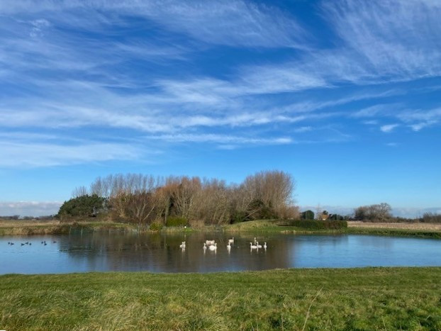 
                                                Vente
                                                 BAISSE DE PRIX ! HUTTE DE CHASSE OYE PLAGE